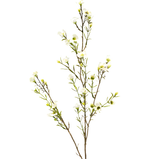 Faux Plant - Wax Flower White by Flower Systems