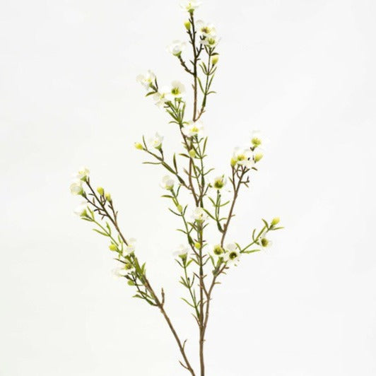 Faux Plant - Wax Flower White by Flower Systems